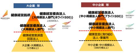 【2024】健康経営優良法人制度とは？ 認定までのポイントと取組み事例｜rizap 健康経営コラム