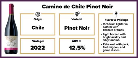 Camino De Chile Pinot Noir 2022 Splash Wines