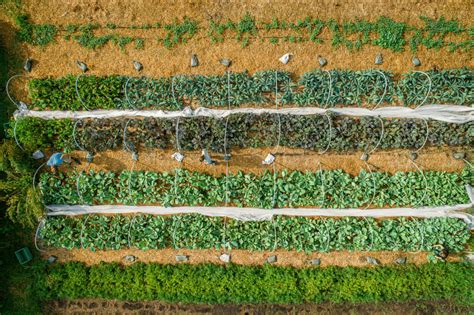 Veterans Urban Farm — Columbia Center For Urban Agriculture