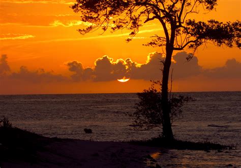 Jamaica Sunset on Behance