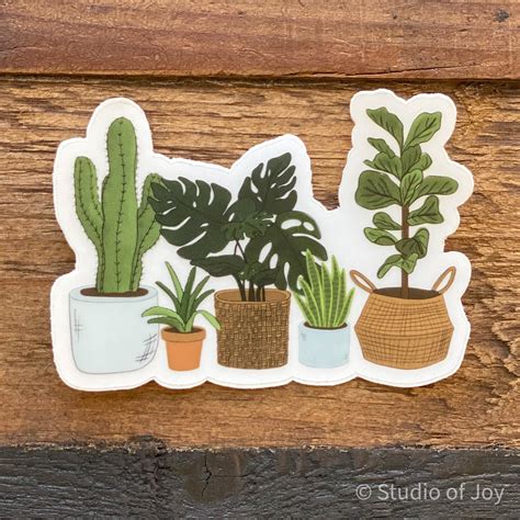 Indoor Plants Sticker Clear Laptop Stickers Aesthetic Etsy