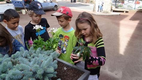 Les Enfants Fleurissent Le Village Chevinay