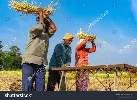 Indian Village Farmers Working On Field Stock Photo 2059168160