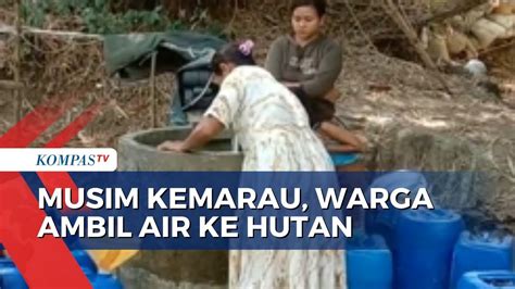 Dilanda Kekeringan Warga Grobogan Bolak Balik Bawa Jeriken Air Sejauh