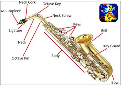 Las Mejores Aplicaciones Para Aprender A Tocar El Saxofón