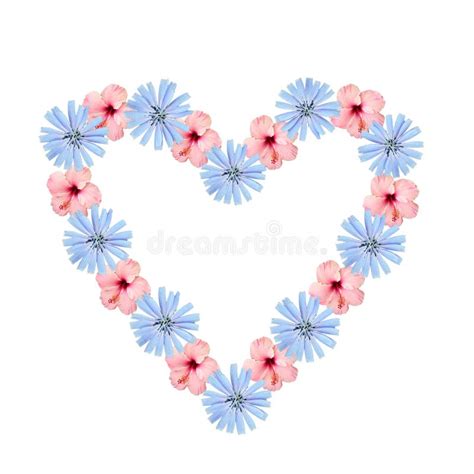 Heart Of Lillies Stock Photo Image Of Beauty Isolated 17842132