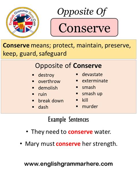 Opposite Of Conserve, Antonyms of Conserve, Meaning and Example ...