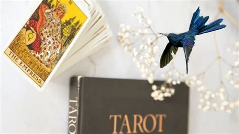 Tarot del Colibrí este es el mensaje de las cartas para este 8 de