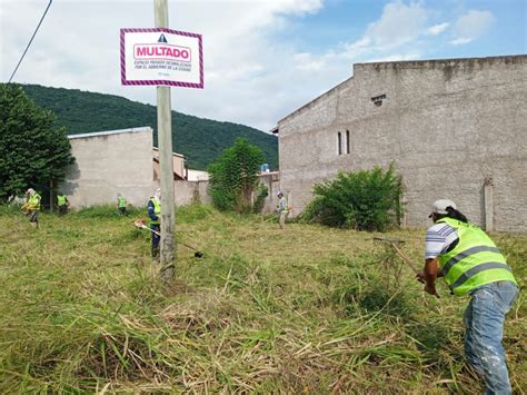 La Municipalidad Inició La Limpieza De Baldíos En Mal Estado Noticias