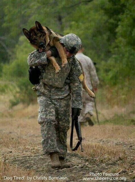 Wounded Warrior Military Dogs Military Working Dogs War Dogs