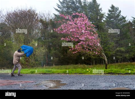 Windy Day High Resolution Stock Photography And Images Alamy