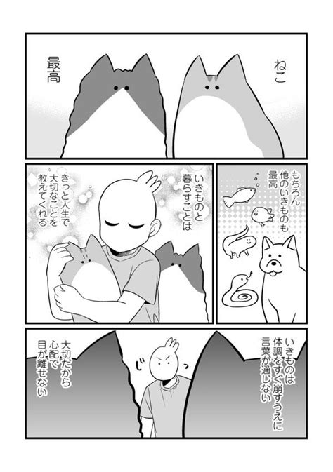 「いつまでもこれからもどうか宜しく 猫の日 」秀の漫画