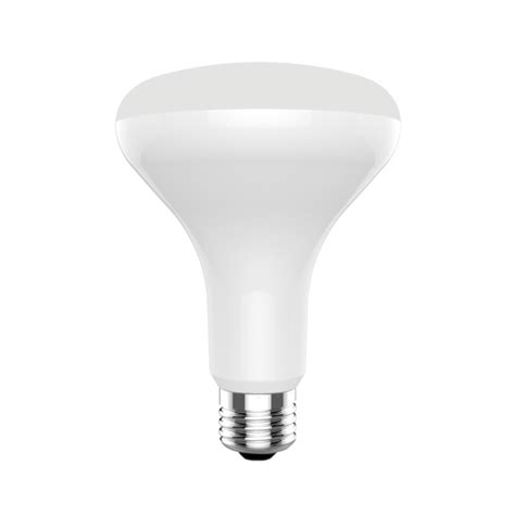 Utilitech Br30 Daylight E26 Dimmable Led Light Bulb 12 Pack In The General Purpose Led Light