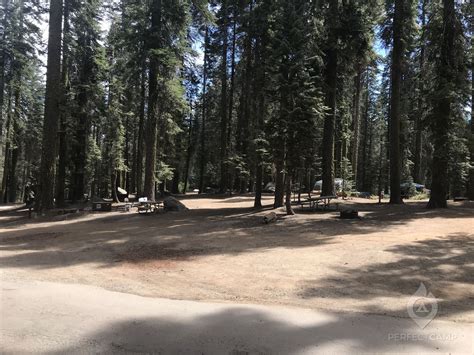 Crane Flat Campground Yosemite National Park Ca Reviews Best