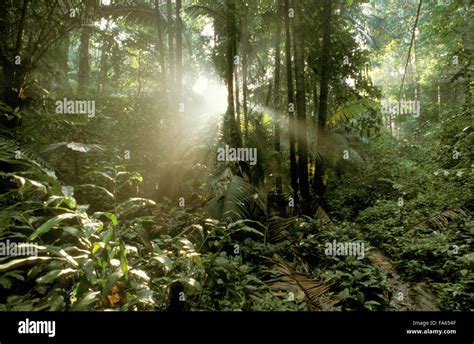 Pulau Tioman Hi Res Stock Photography And Images Alamy