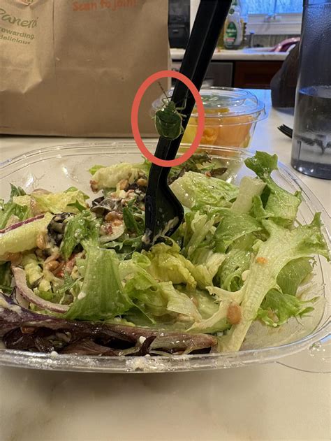 Photos Showing 'Common' Sense Might Really Be Rare | Cracked.com
