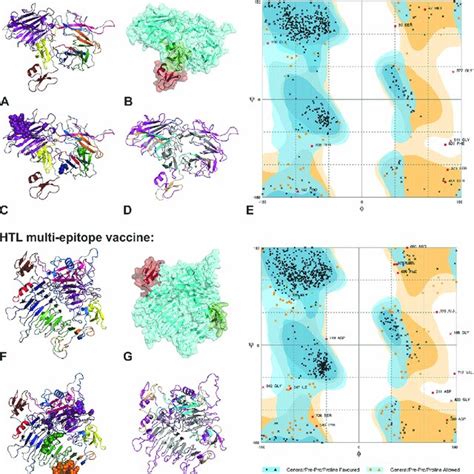 Overlapping Ctl Htl And B Cell Epitopes Multiple Sequence Alignment