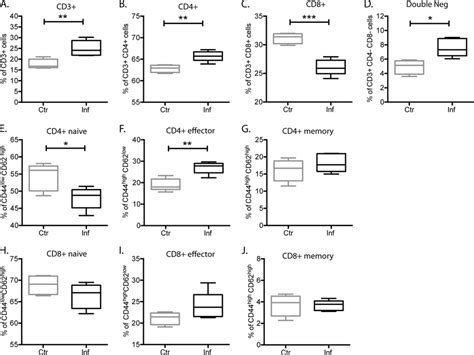 Cd3 Cd4 Effector T Cell Populations Are Expanded In The Spleens Of