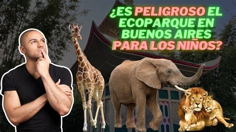 Es Peligroso El Ecoparque En Buenos Aires Para Los Ni Os I