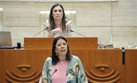 PP Y Vox Tumban En La Asamblea Una Propuesta Del PSOE Contra El Racismo