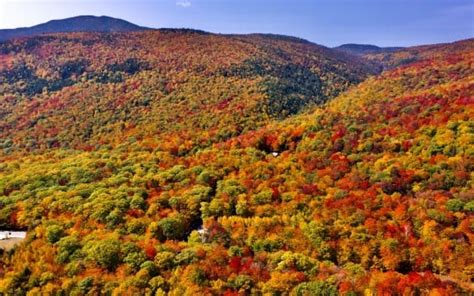 Red Green Yellow Autumn Forest Trees Slope Hill Nature Blue Sky