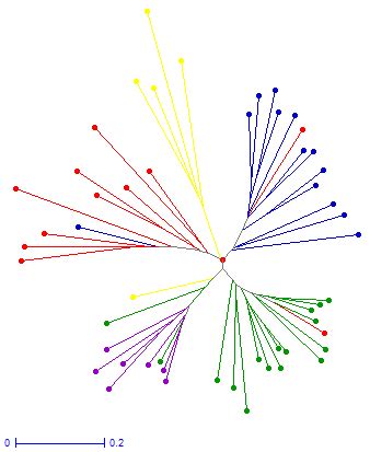 Neighbor Joining Dendrogram Depicting Genetic Relationship Between