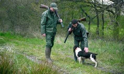 Comprendre Le Droit De Chasse Et Le Droit De Chasser