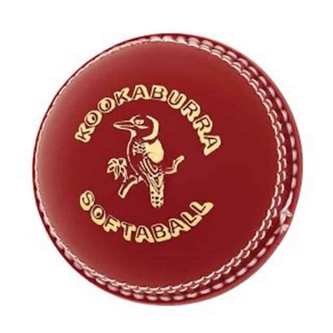 Practice White Kookaburra Cricket Ball - Meulemans Cricket Centre