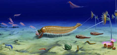 Five-Eyed 520-Million-Year-Old Fossil Reveals Arthropod Origin