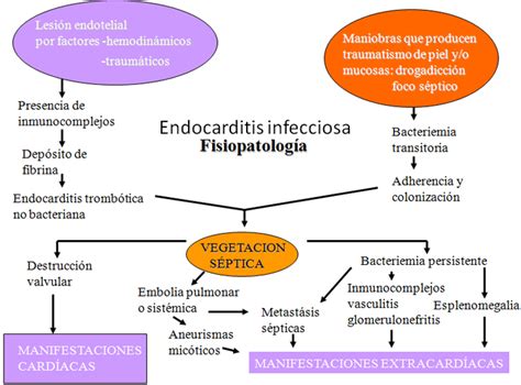 Formaci N Sociedad Espa Ola De Farmacia Hospitalaria