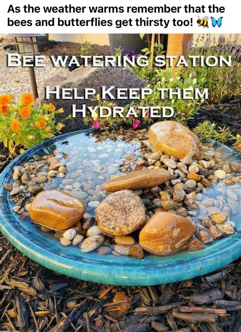 How to make a simple bee water station for your garden – Artofit