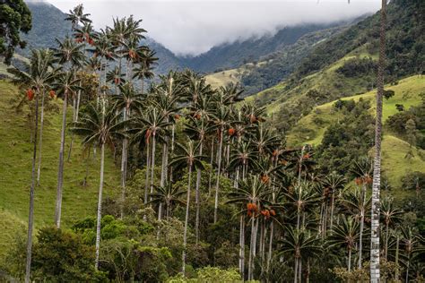 AMÉRICA LATINA Una foto por post Uma foto por post Page 95