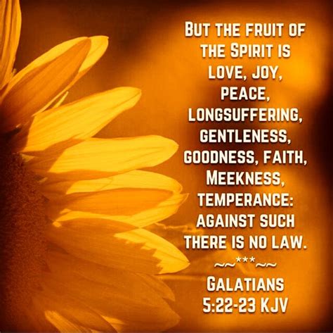 Pin By Bonnie Battin Carlsen On God S Word Fruit Of The Spirit Faith