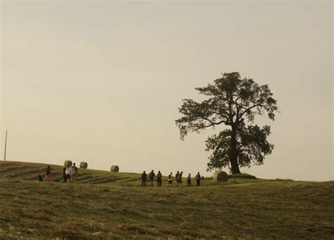 Al Tramonto Tra I Vigneti Di Torrechiara E Il Nuovo Sentiero D Arte