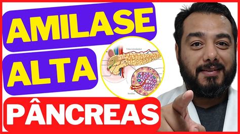 Amilase Alta O Que Pode Ser - Enzima amilase alta no exame de sangue: o que pode ser? | Pancreatite ...