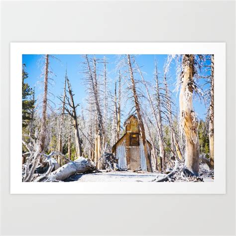 Horseshoe Lake, Mammoth Lakes CA Art Print by Jenny Siegwart | Society6