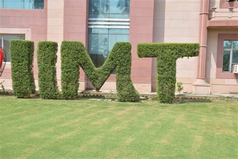 Best B.Com College in Greater Noida - IIMT Group of Colleges