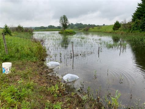 Pond stocking | Iowawhitetail forums