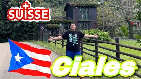 La Suiza De Puerto Rico Ciales Youtube