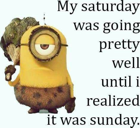My Saturday was going pretty well..... | Minions funny, Minions quotes