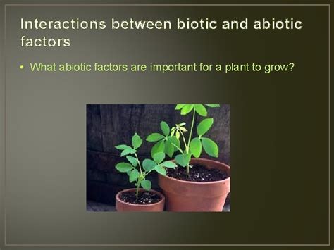 Ecology Interactions between biotic and abiotic factors Review