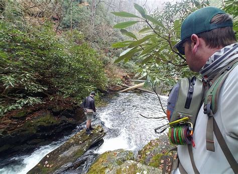 Trout Fishing Greenville SC | Local Insights and Tips