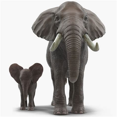 3d Elephants Rigged Model Turbosquid 1515812