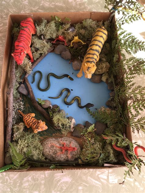 Easy fun tiger habitat diorama put together for a year 3 school project ...