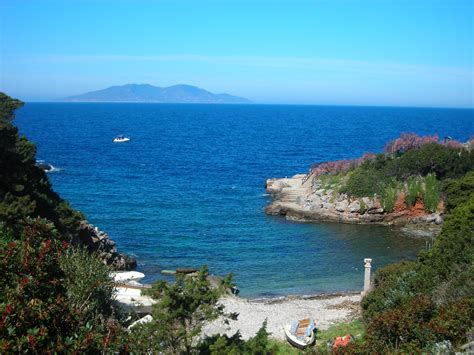THE ISLAND OF GIANNUTRI - Isola del Giglio - Sito ufficiale della