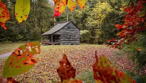 Best Spots For Capturing Fall Foliage In The Smoky Mountains My