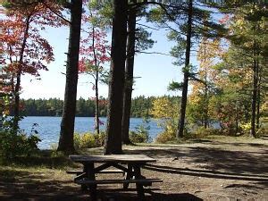 Michigan State Forest Campgrounds Map - Maping Resources