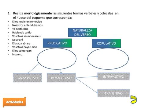 Morfo Sintaxis Del Castellano Ppt Descargar