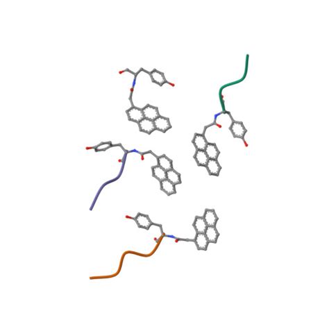 Rcsb Pdb 8gi5 Cryo Em Of Self Assembling Pyrene Peptide With Ca2