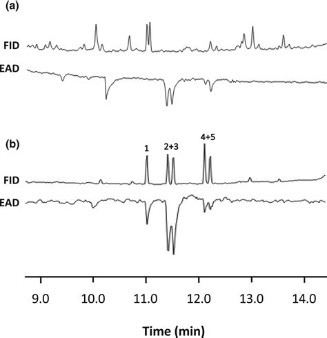 Identification Of E And Z 11tetradecenyl Acetate As Sex Pheromone